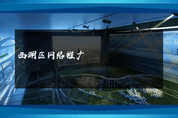 西湖区网络推广