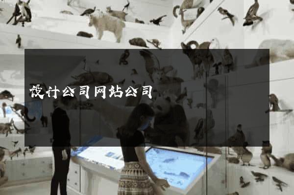 设计公司网站公司