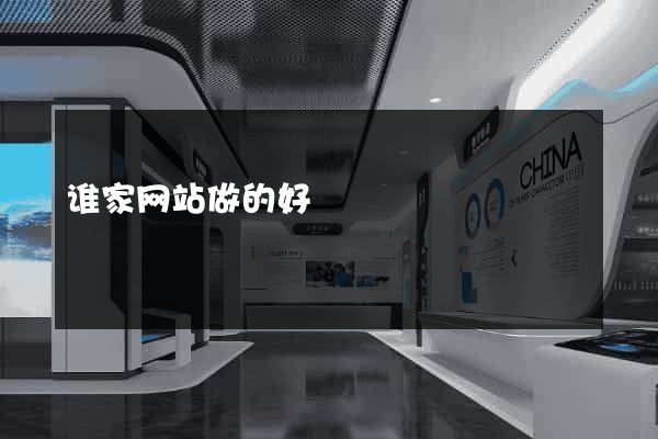 谁家网站做的好