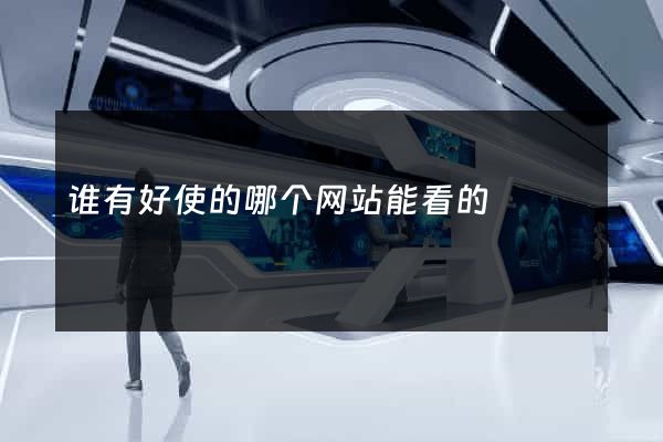 谁有好使的哪个网站能看的