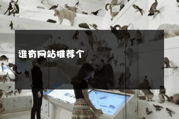 谁有网站推荐个