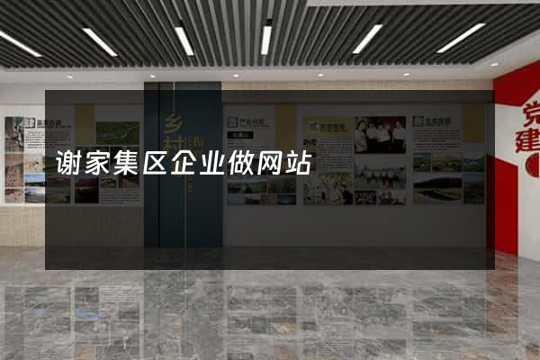 谢家集区企业做网站