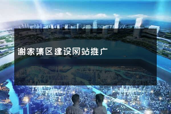 谢家集区建设网站推广