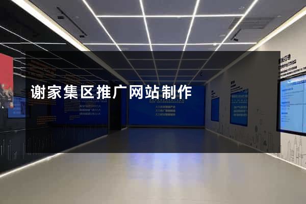 谢家集区推广网站制作