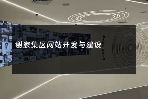 谢家集区网站开发与建设