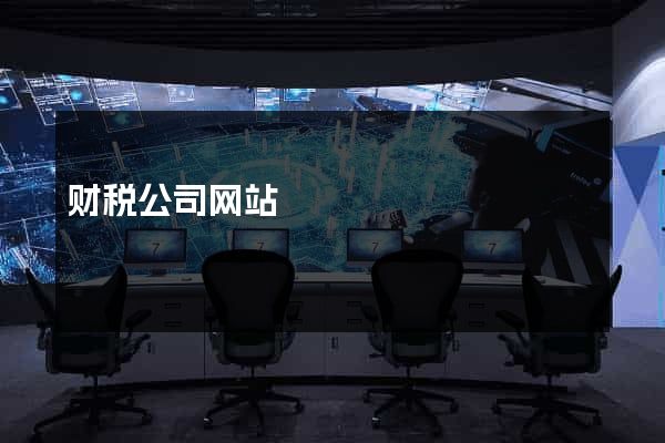 财税公司网站
