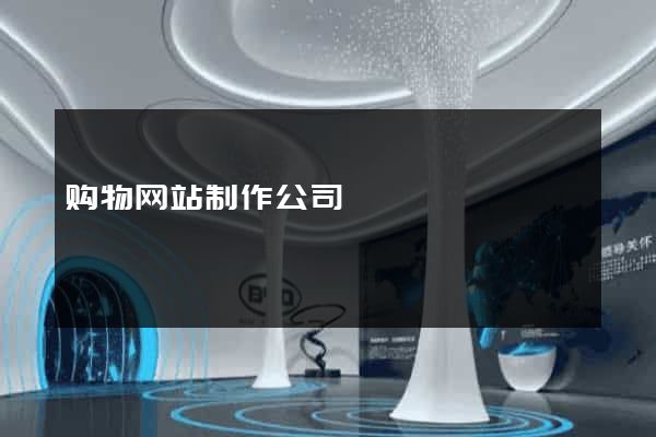 购物网站制作公司