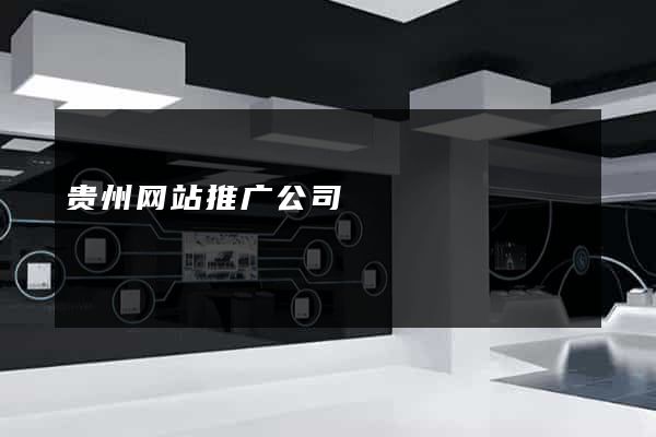贵州网站推广公司