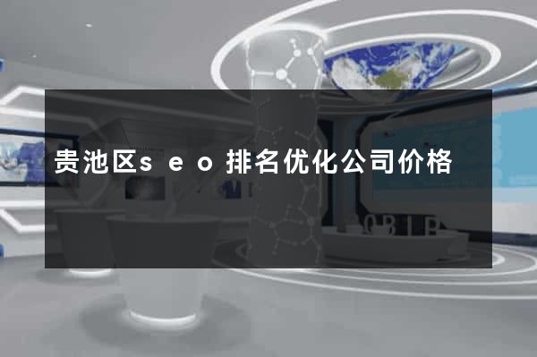 贵池区seo排名优化公司价格