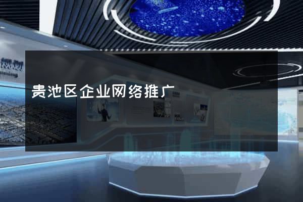 贵池区企业网络推广