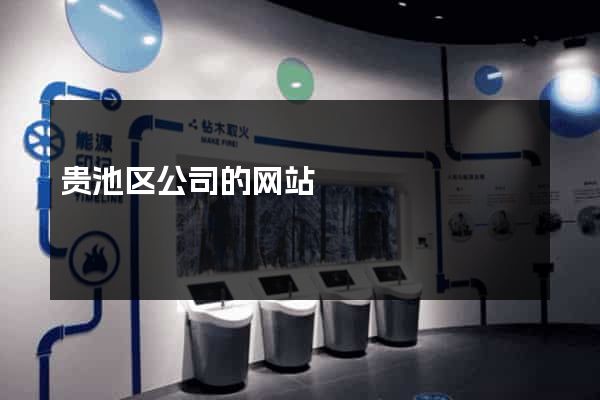 贵池区公司的网站