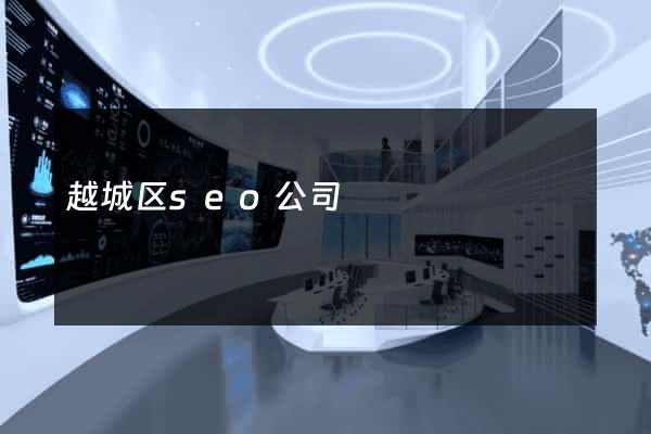 越城区seo公司