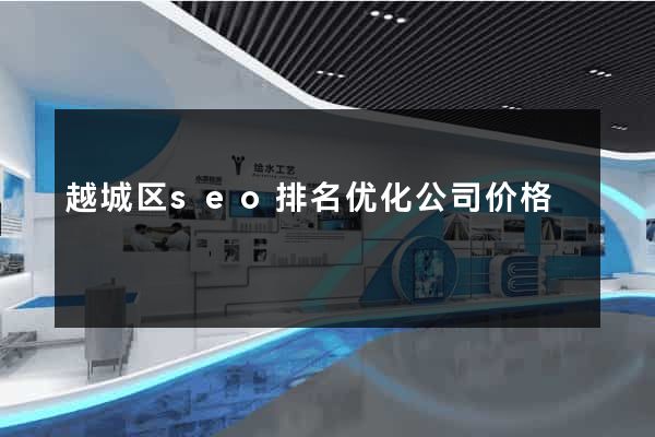 越城区seo排名优化公司价格