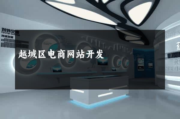 越城区电商网站开发