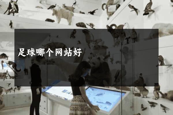 足球哪个网站好