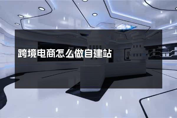 跨境电商怎么做自建站