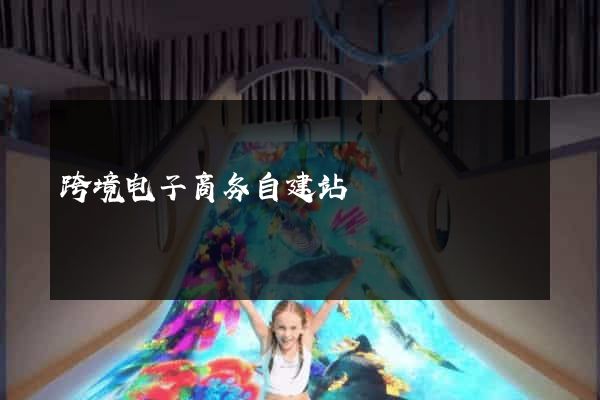 跨境电子商务自建站