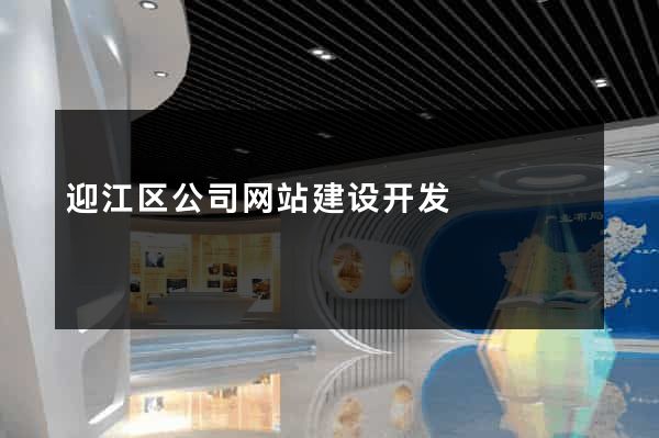 迎江区公司网站建设开发