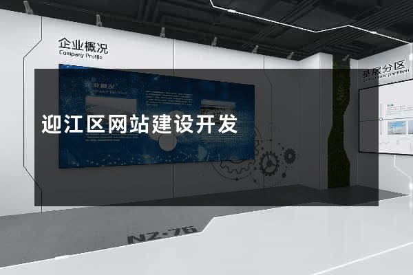 迎江区网站建设开发