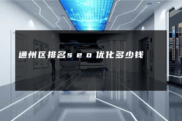 通州区排名seo优化多少钱