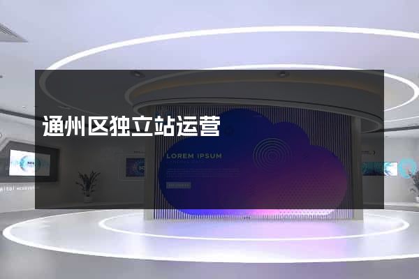 通州区独立站运营