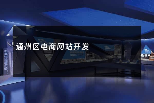 通州区电商网站开发