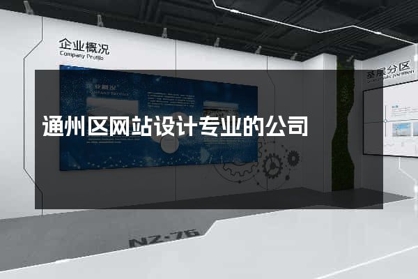 通州区网站设计专业的公司