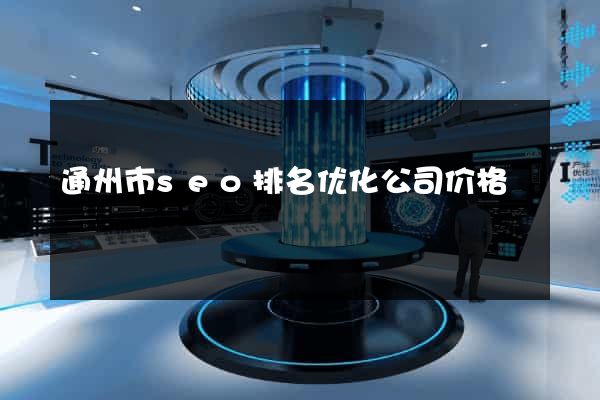 通州市seo排名优化公司价格