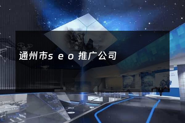 通州市seo推广公司