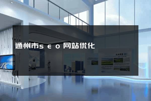 通州市seo网站优化