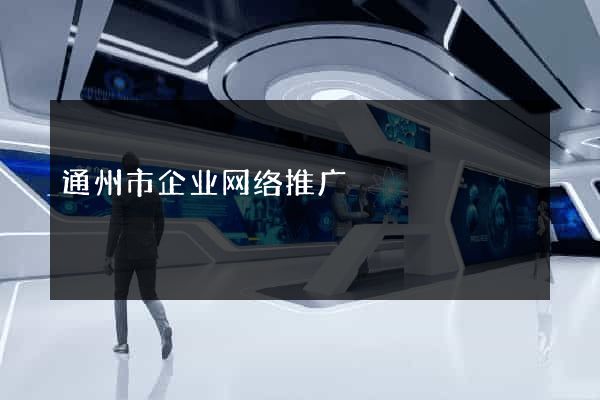通州市企业网络推广