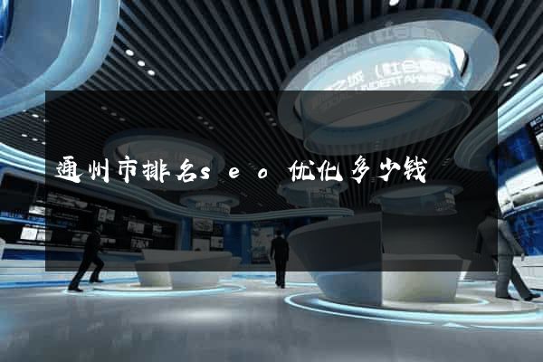 通州市排名seo优化多少钱
