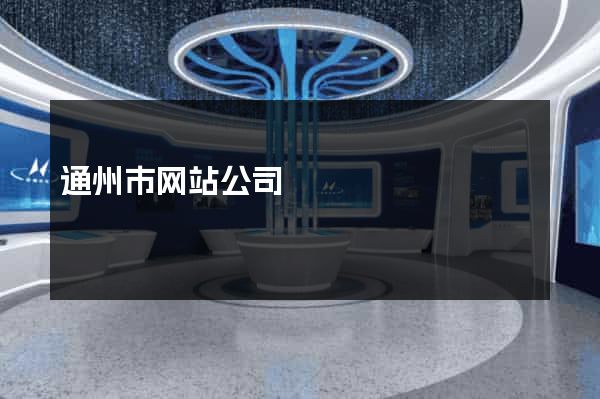 通州市网站公司