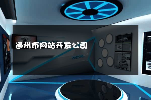 通州市网站开发公司