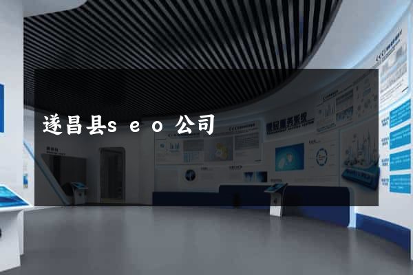 遂昌县seo公司