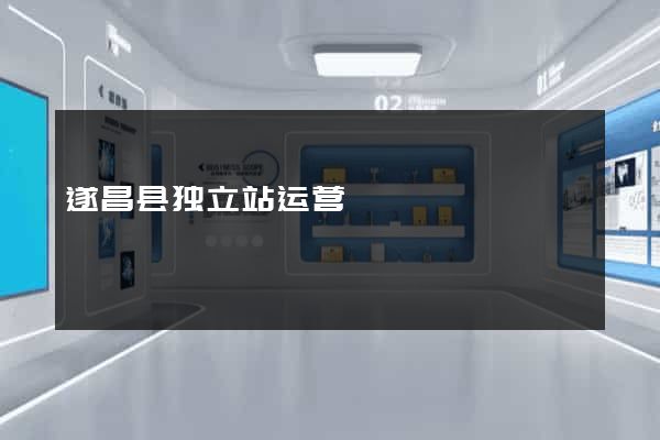 遂昌县独立站运营