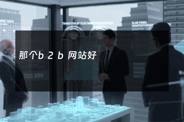 那个b2b网站好