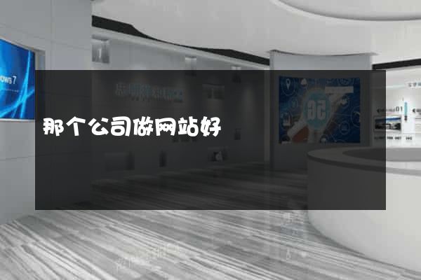 那个公司做网站好