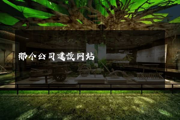 那个公司建设网站