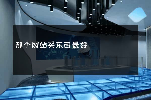 那个网站买东西最好