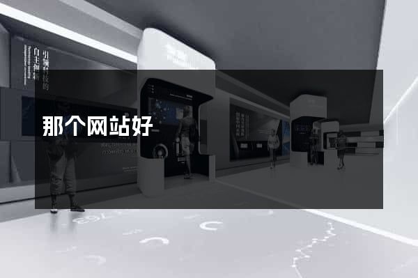 那个网站好