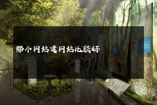 那个网站建网站比较好
