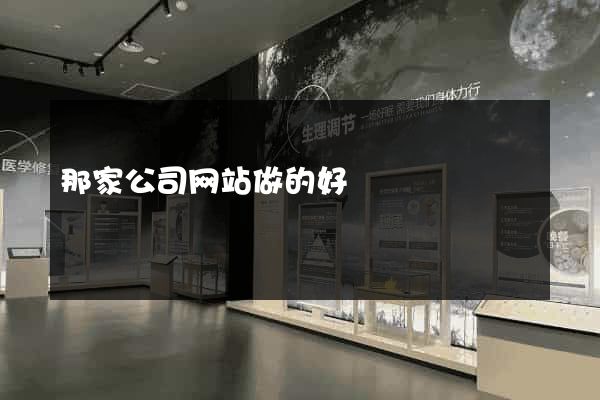 那家公司网站做的好