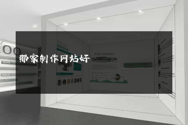 那家制作网站好