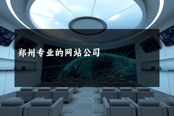 郑州专业的网站公司
