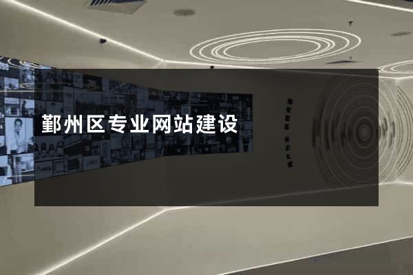 鄞州区专业网站建设