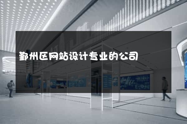 鄞州区网站设计专业的公司