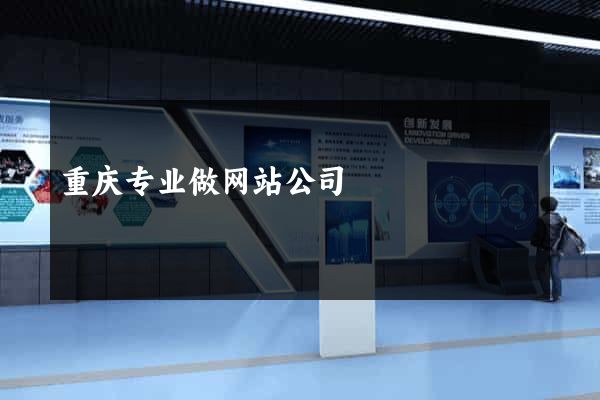 重庆专业做网站公司