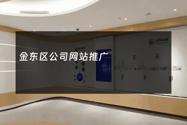 金东区公司网站推广