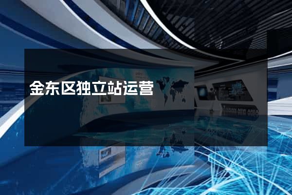 金东区独立站运营